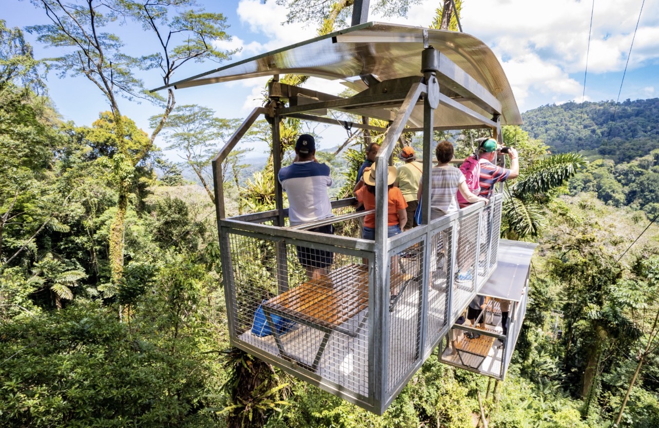 'Aerial tram through rainforest canopy with Tortuguero Canal boat cruise from Limon cruise port - Macaws Tours by Pablo C',